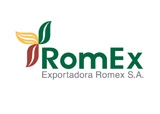 Exportadora Romex SA